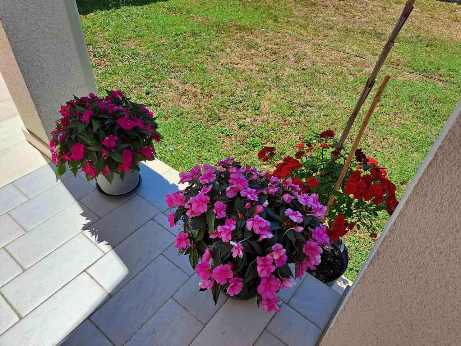 Apartmani Danica 沃德年 外观 照片